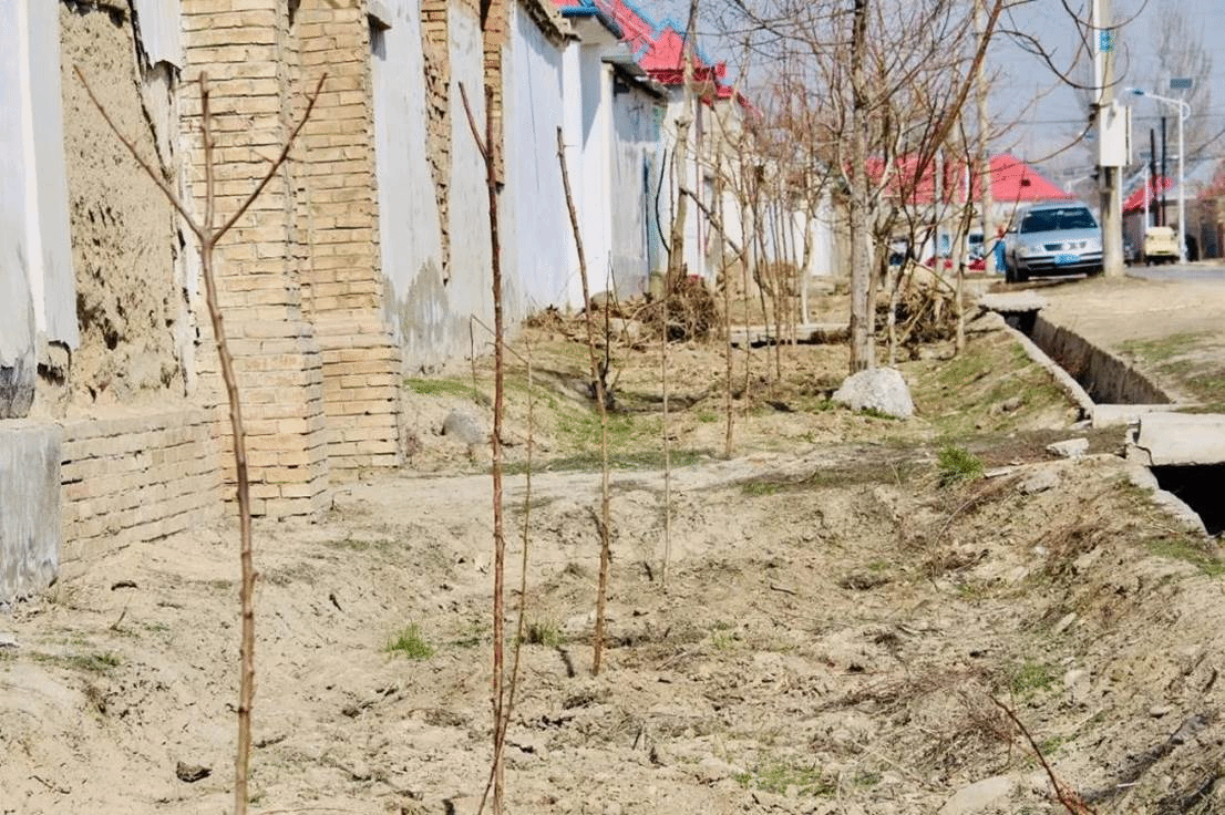 src=http______local_4_BF_1D_1726AF17FA4BC72F04889C03B56_40C4B9E9_2EF73.jpg&refer=http___jsqtbxg