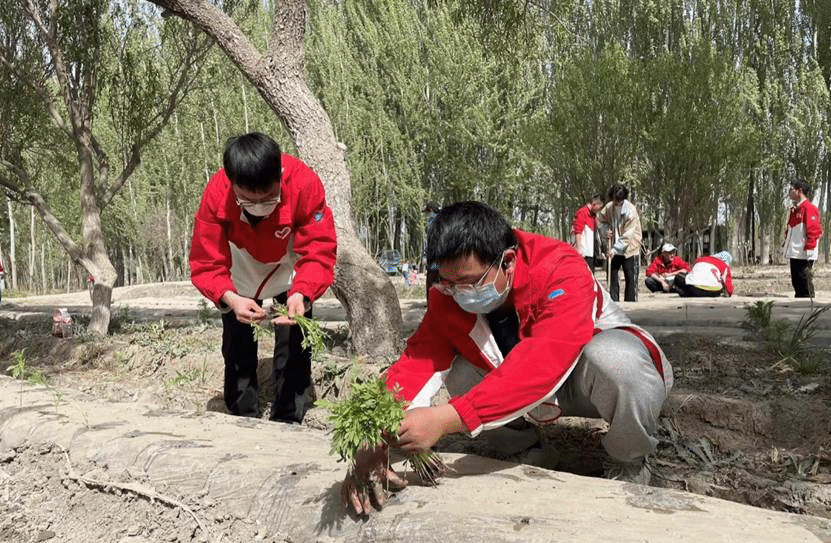 6d70baf4f38d3c98993ad2d629657be5_